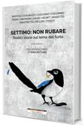 Settimo: non rubare: Tredici storie sul tema del furto (I minolli)