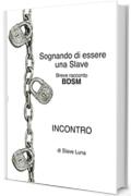 Sognando di essere una Slave. Incontro: Breve racconto BDSM