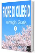 FIORE DI CILIEGIO Immagini Gratis 1  BEIZ images