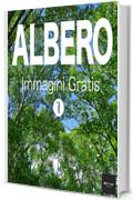 ALBERO Immagini Gratis 1  BEIZ images