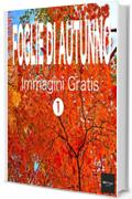 FOGLIE DI AUTUNNO Immagini Gratis 1  BEIZ images