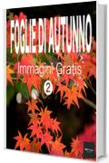 FOGLIE DI AUTUNNO Immagini Gratis 2  BEIZ images - Foto Gratis