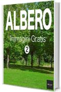 ALBERO Immagini Gratis 2  BEIZ images - Foto Gratis