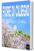 FIORE DI CILIEGIO Immagini Gratis 2  BEIZ images - Foto Gratis