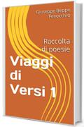Viaggi di Versi 1: Raccolta di poesie (Mi piace scrivere by Beppe Fenocchio)