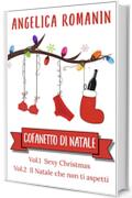 COFANETTO DI NATALE: Sexy Christmas: innamorarsi a Natale - Il Natale che non ti aspetti: quando la vita ti sorprende