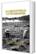 LA MIETITURA E LA VENDEMMIA: Echi di Tradizione e Folklore: Pratiche Agricole e Cultura Millenaria nelle Terre Marchigiane d'Italia - Uno Sguardo Retrospettivo dal XIX Secolo