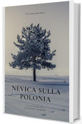 Nevica sulla Polonia