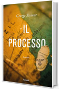 Il processo