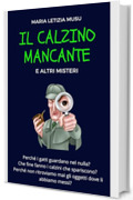 Il Calzino Mancante: e altri misteri (Guide comiche per affrontare la vita)