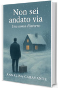 Non sei andato via : Una storia d'inverno