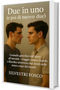Due in uno (e poi di nuovo due): Cronache gemellari dall&rsquo;utero all&rsquo;eternit&agrave; &mdash; viaggio comico, liquido e filosofico attraverso due menti nello stesso corpo del mondo