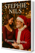 Il grembo di Babbo Natale (Racconti erotici brevi: Speciale Natale)