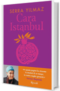 Cara Istanbul