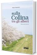 Sulla collina tra gli alberi