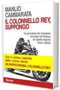 Il colonnello Rey, suppongo: Un giornalista che scompare. Una talpa nel palazzo. Un agente segreto senza pistola.