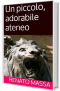 Un piccolo, adorabile ateneo (Narrativa Massa Vol. 1)