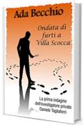 Ondata di furti a Villa scocca (OMBRE E MISTERI)