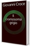 Il cromosoma grigio