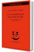 Un gomitolo di concause: Lettere a Pietro Citati (1957-1969) (Piccola biblioteca Adelphi)