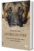 Storia di Fire: Una storia di comprensione, dolore e amore riconquistato