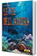 Le vie dell'ambra (I Dolmen)