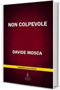 Non colpevole (eNewton Narrativa)