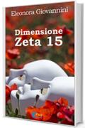 Dimenzione Zeta