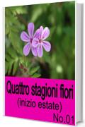 Quattro stagioni fiori (inizio estate) No.01