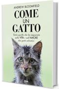 Come un Gatto: Tutto quello che ho imparato sulla vita e sull'amore dai gatti randagi