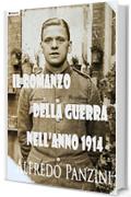 Il romanzo della guerra nell'anno 1914