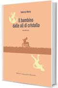 Il bambino dalle ali di cristallo