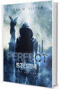 Perfect Storm (Lethal Men 4)