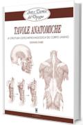 Arte e Tecnica del Disegno - 15 - Tavole anatomiche: La struttura osteo-artro-miologica del corpo umano