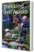 Trekking dell'Avisio: 150 km di ravanate lungo il fiume