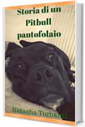 Storia di un Pitbull pantofolaio