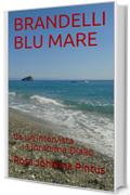 BRANDELLI BLU MARE: da un'intervistaa Ibrahima Diallo (politicacultura Vol. 1)