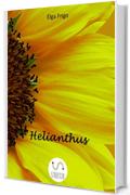 Helianthus