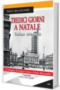 Tredici giorni a Natale: Torino 1990 - 2016