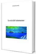 La scia del catamarano