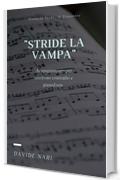 Stride la vampa (G. Verdi) per saxofono e pianoforte