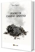 Odore di camino spento