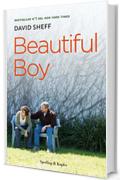 Beautiful boy (versione italiana)