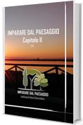 Imparare dal Paesaggio, Capitolo II