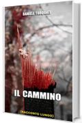 Il cammino