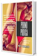 Porno pudica (porn stories)