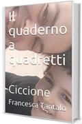 Il quaderno a quadretti: Ciccione