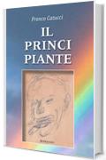 Il principiante