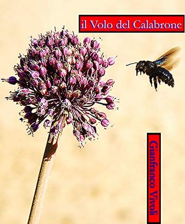 il volo del calabrone