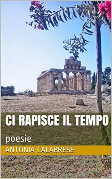 Ci rapisce il tempo: poesie (PoeticaMente Vol. 2)